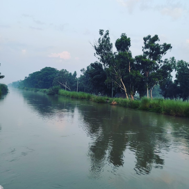 Canal view