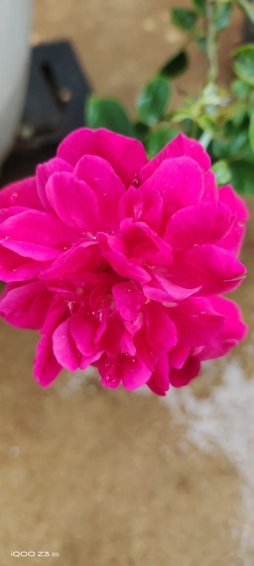 beautiful nature