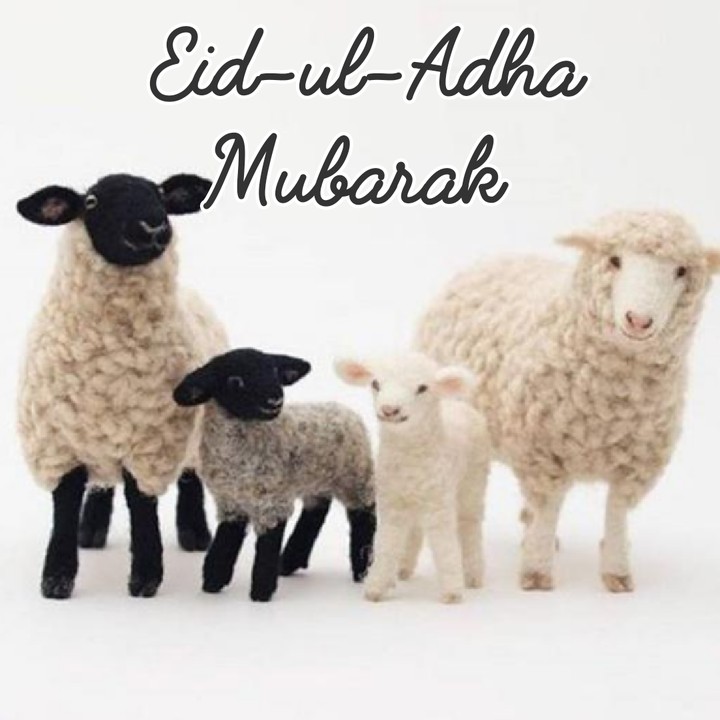 Eid Ul Adha