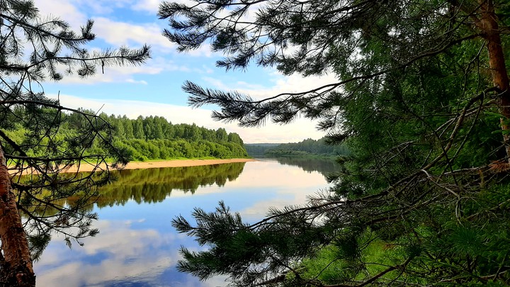 Лесная река