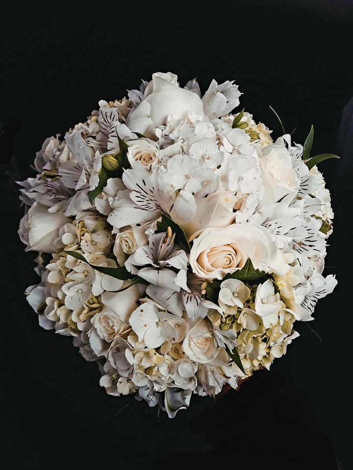 flores