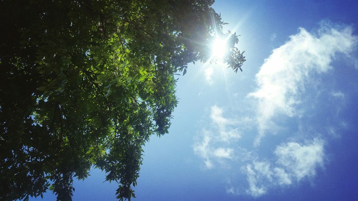 sunshine