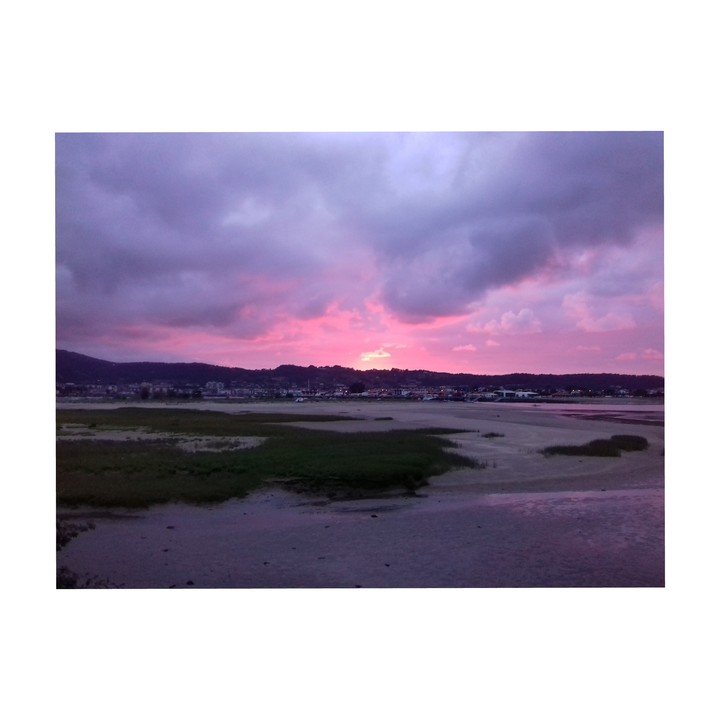 Pink sky