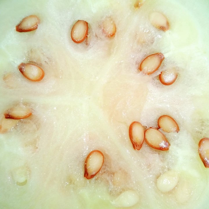 watermelon ...