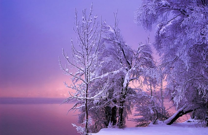 landscapes