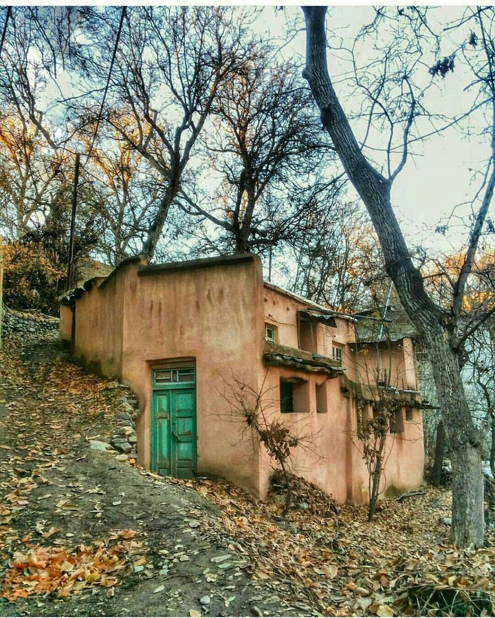 زمستان است و بی برگی..
