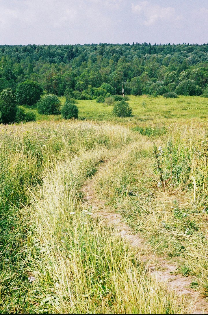 ταπετσαρίες ecoregion, green
