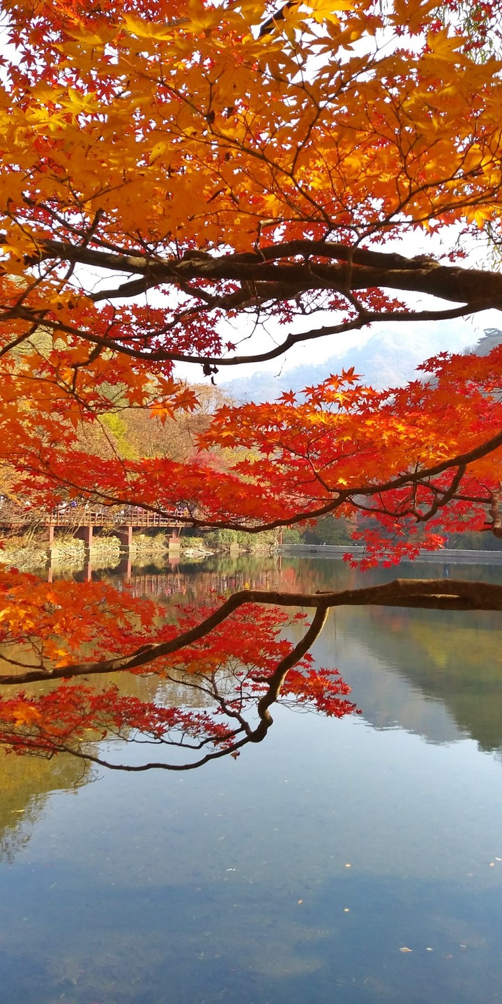 가을호수