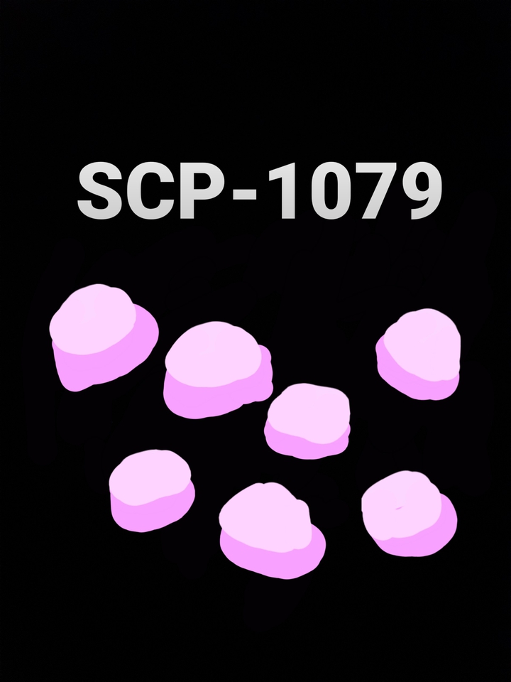 SCP-1079