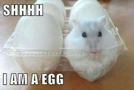 xx