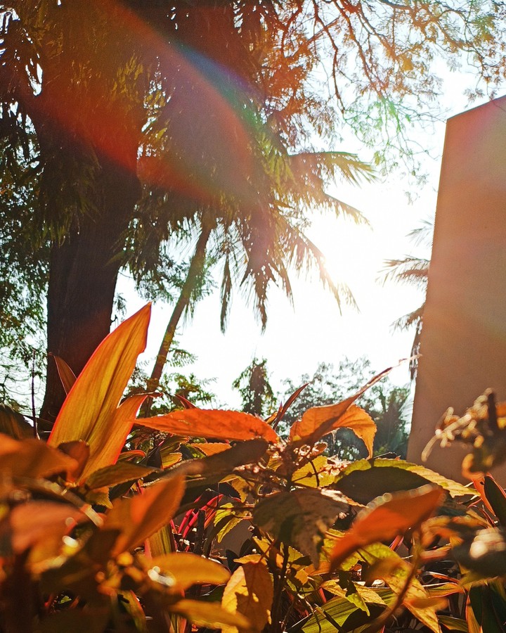 Bokeh is proof that being out of focus can be beautiful too!