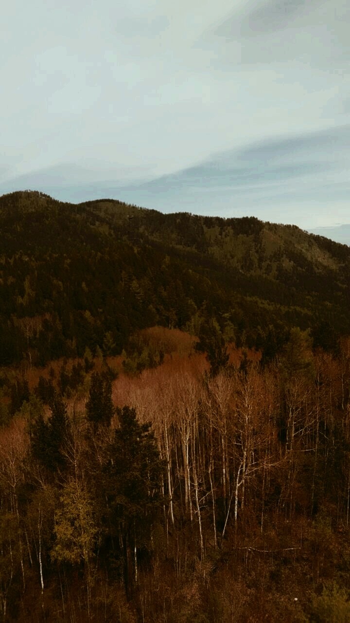 ❤