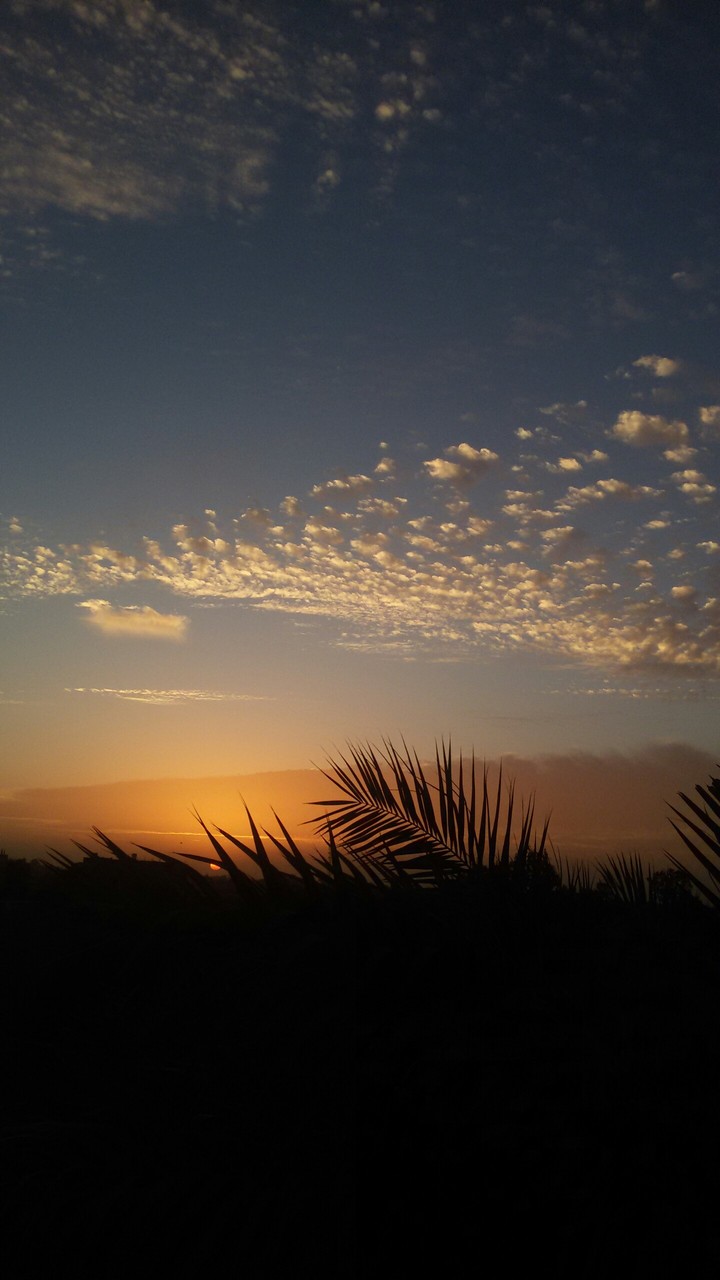 sun