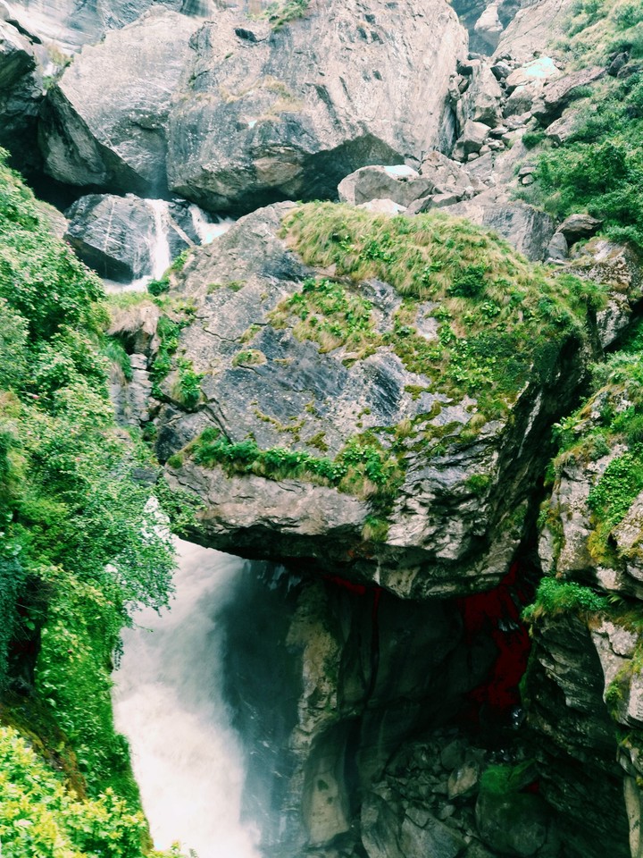 natural photography
