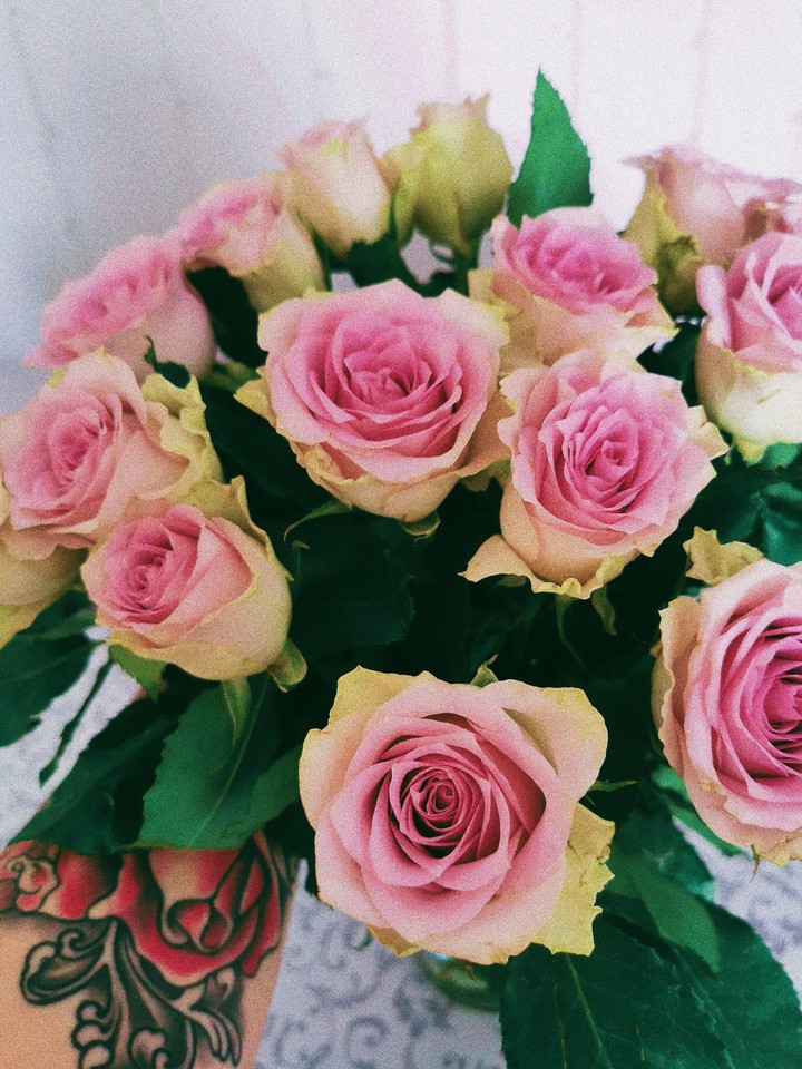Roses