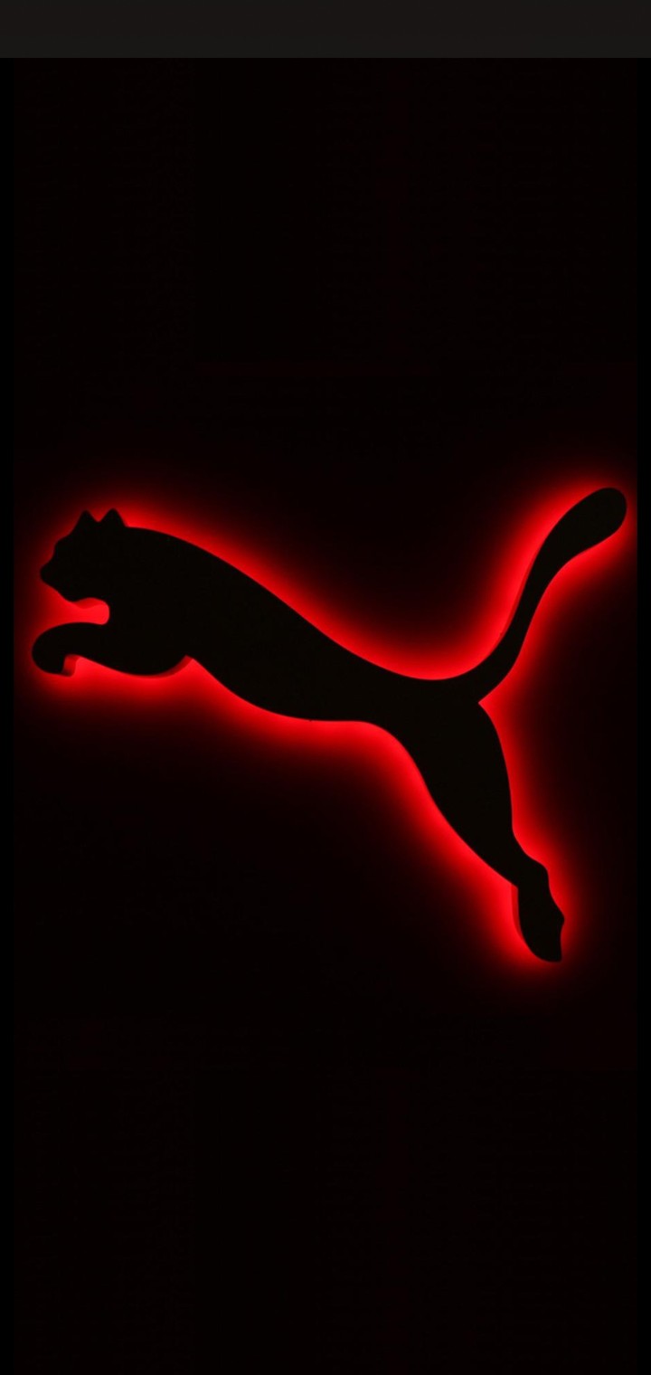 tiger pic