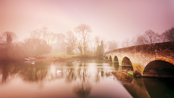The Bridge