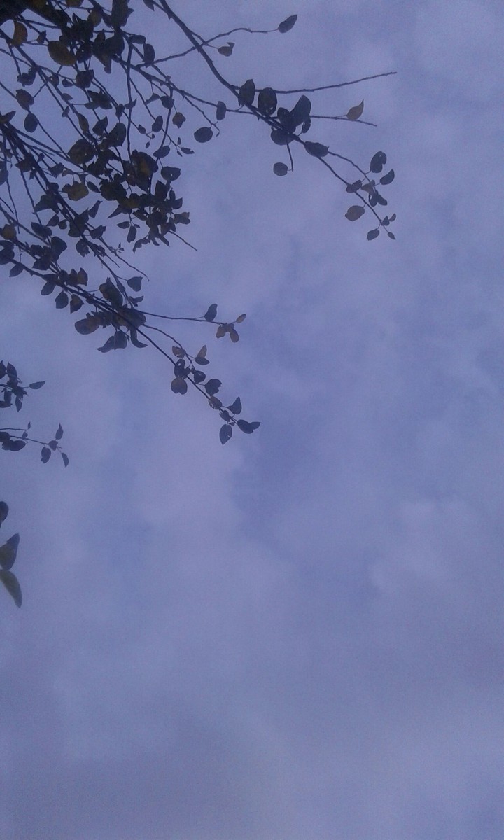 nocturne
