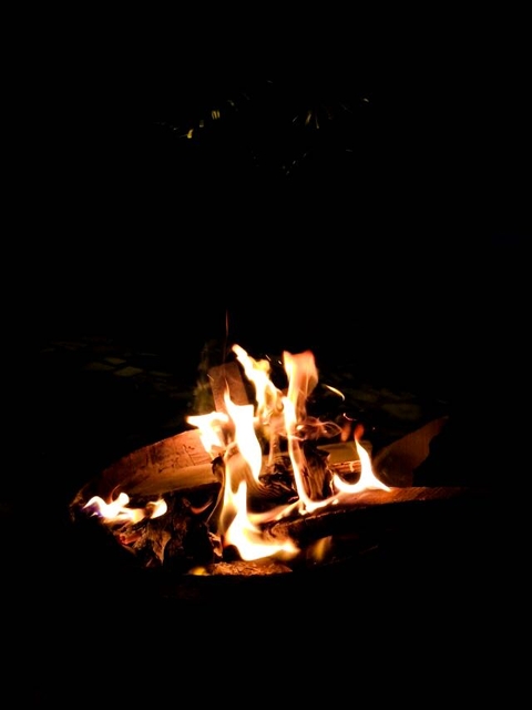 lohri #2