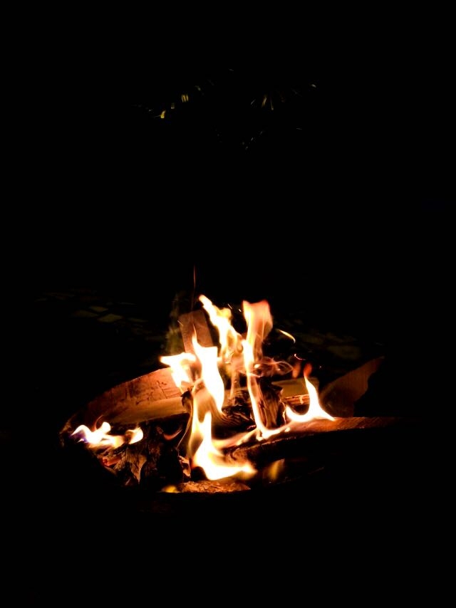 lohri #2