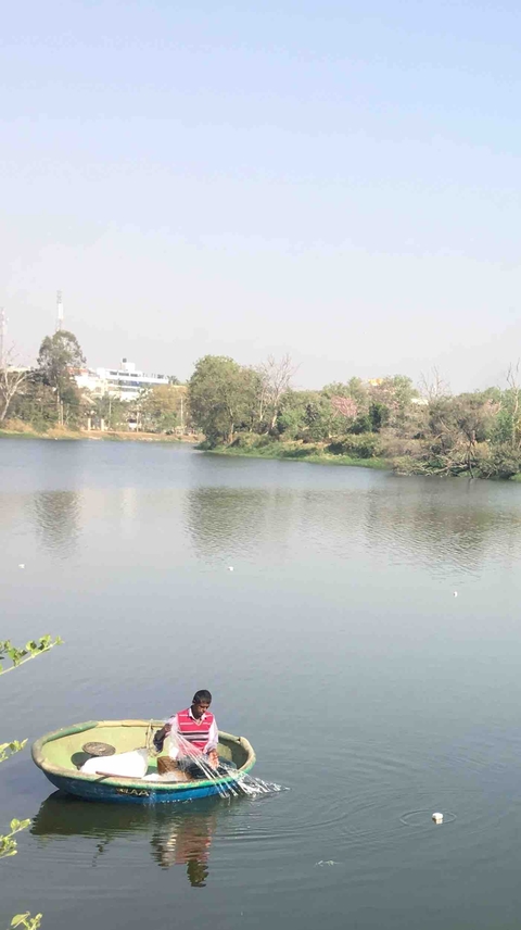 fishing in a lake