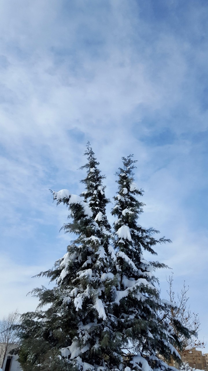 برف تهران