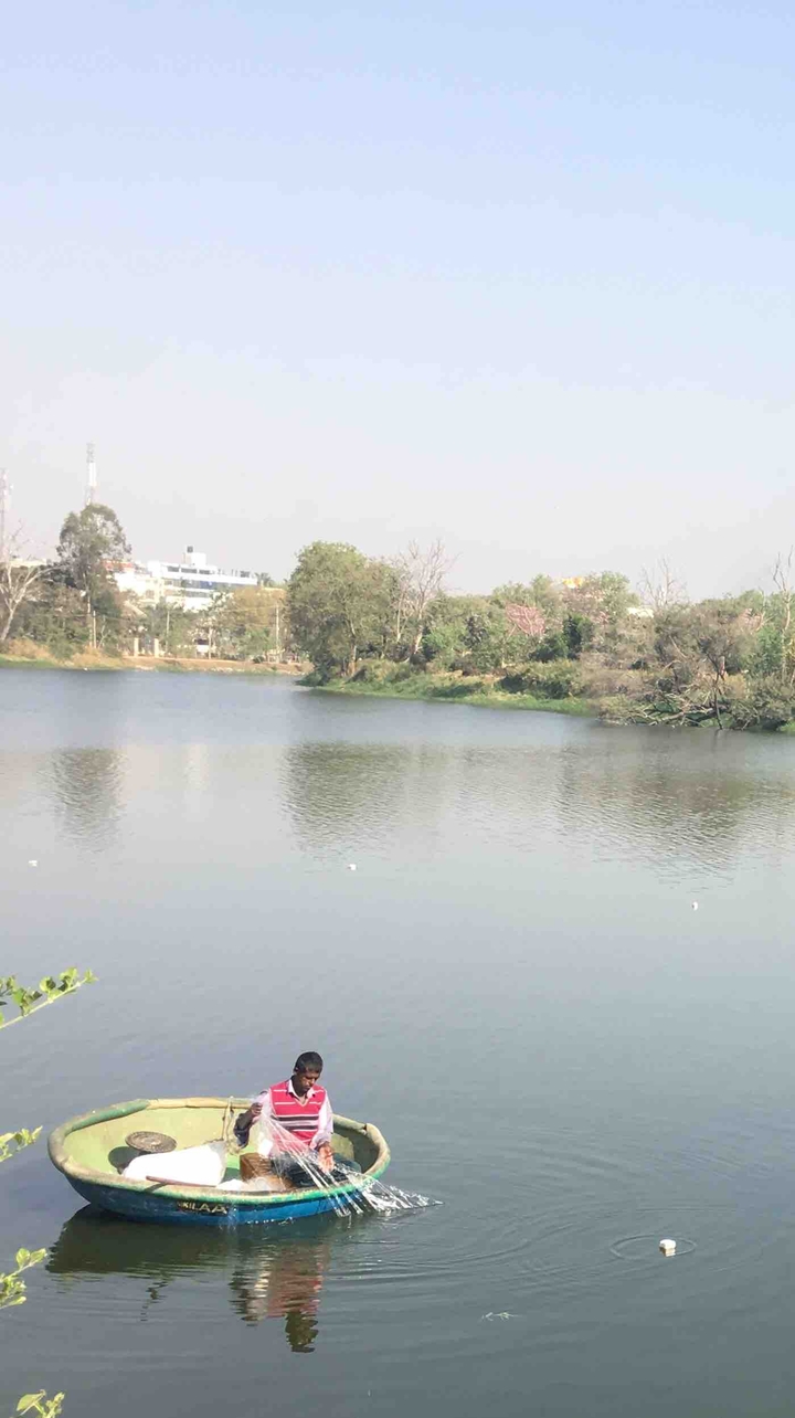 fishing in a lake
