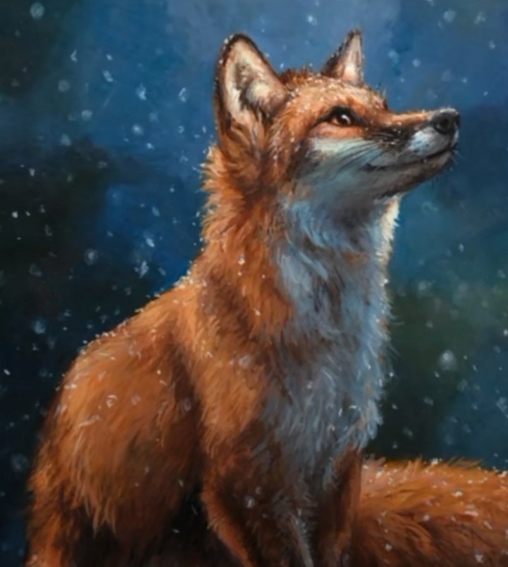 renard