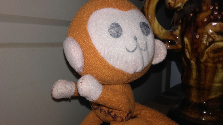 Teddy