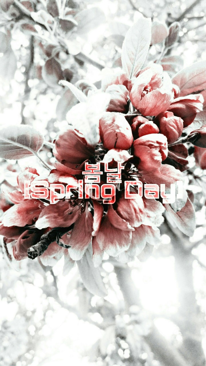 Spring Day