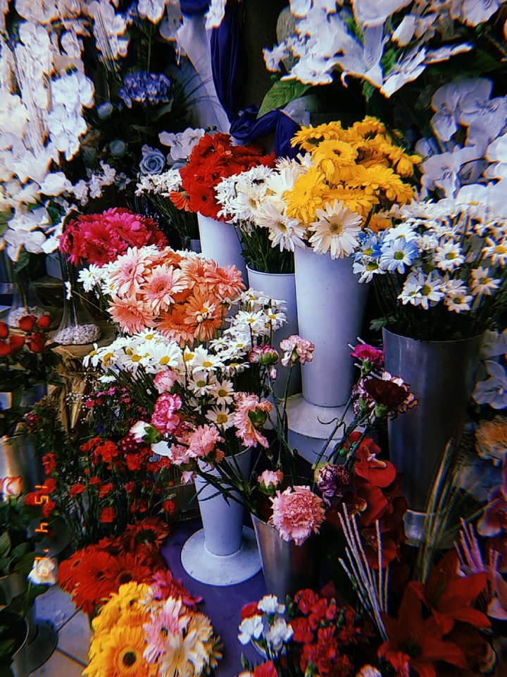 Flowers
