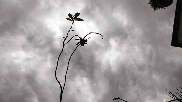 clouds