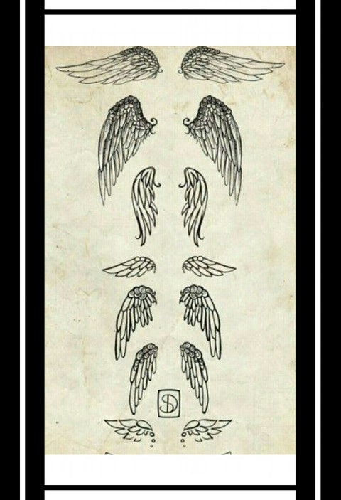 Beautyful Whings... what's your favorite style ?
