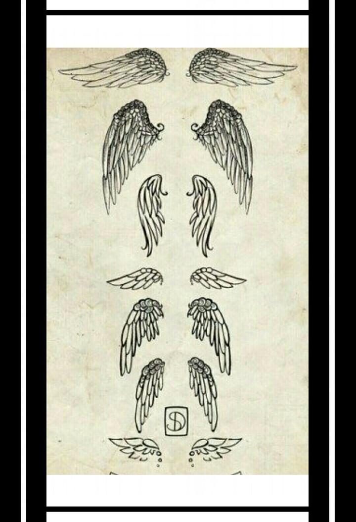 Beautyful Whings... what's your favorite style ?