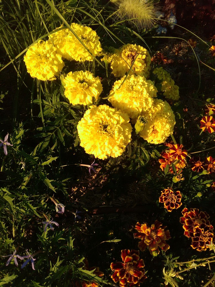 Reflet jaune whoua