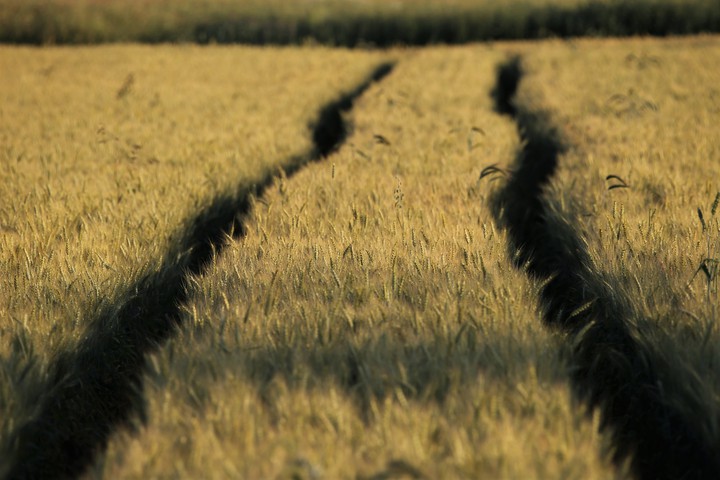 paysage