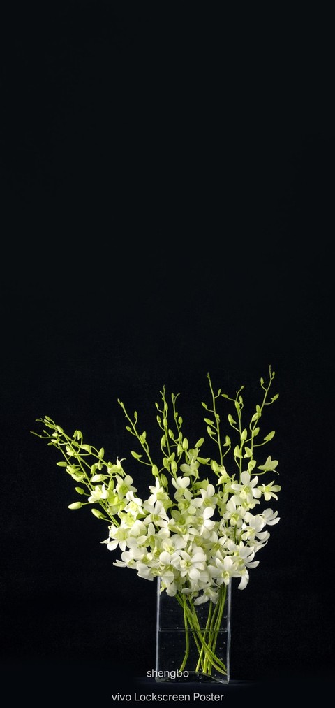 обои flower, twig