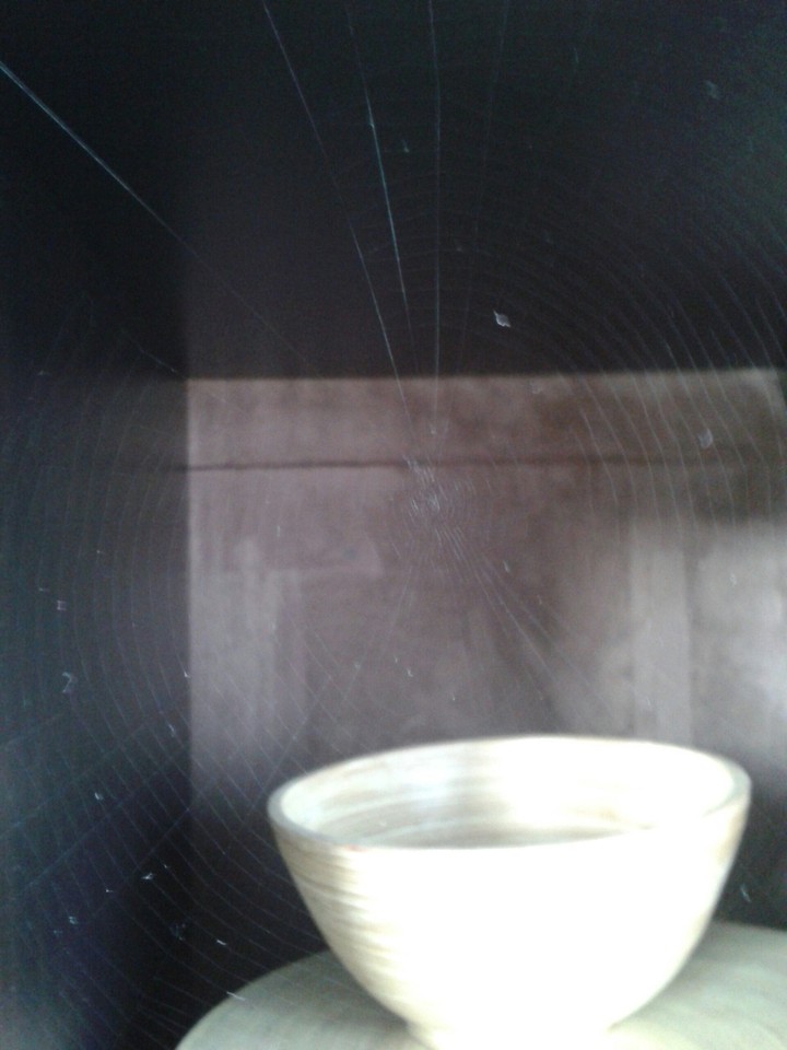 spinnennetz
