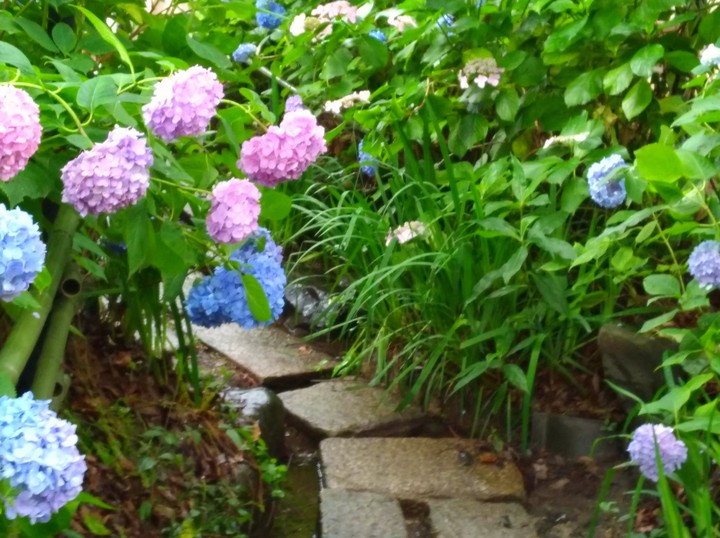 path
