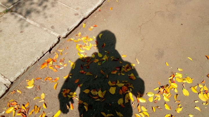 SHADOW