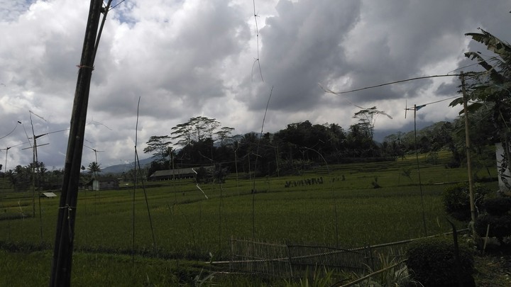 Indonesian view