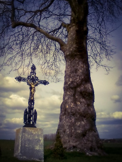 In the middle of nowhere
