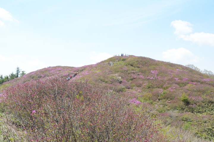 지리산이미지