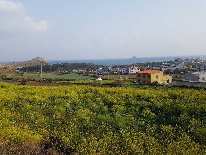 제주도