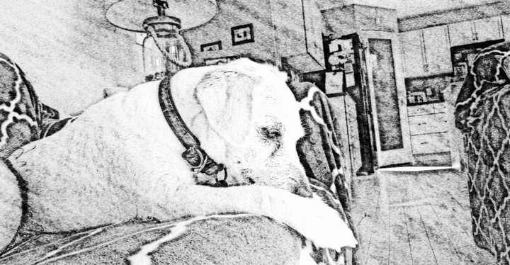 cooper