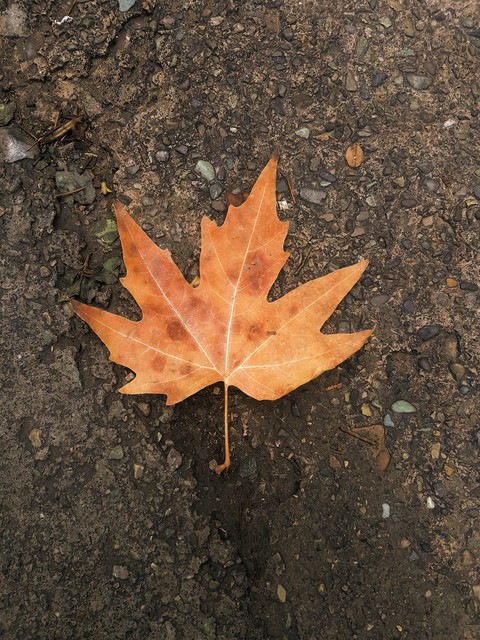 Autumn is here