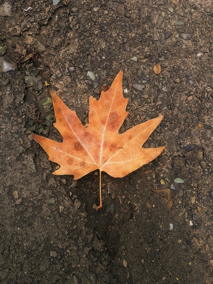 Autumn is here