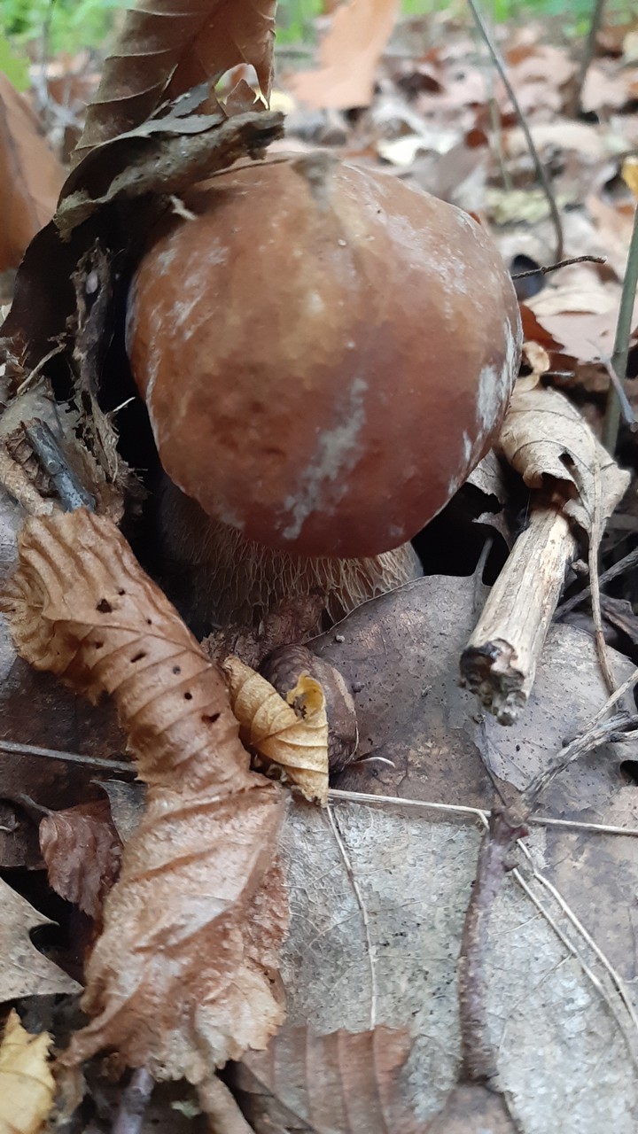 ??