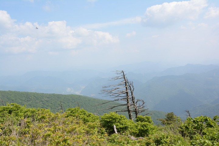 산이미지