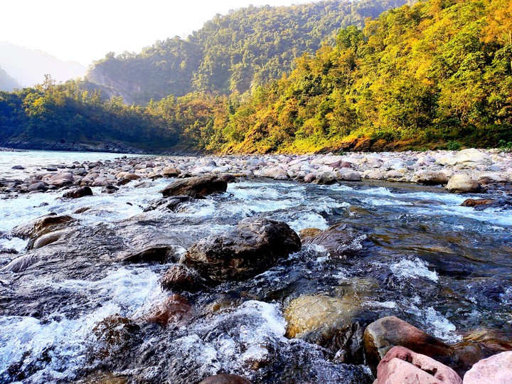 Wild River